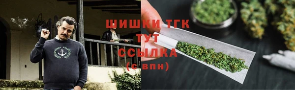 стаф Нефтегорск