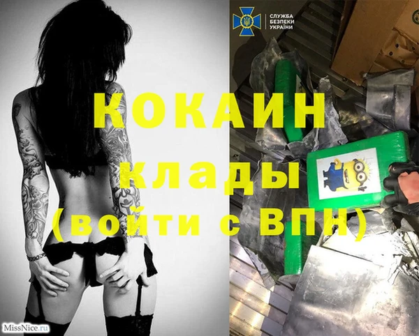 стаф Нефтегорск