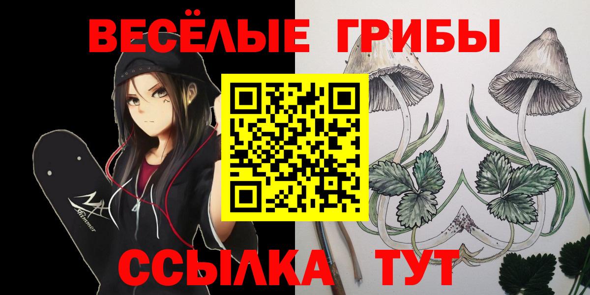 Павловский Посад  Галлюциногенные грибы мухоморы  Вход с VPN 