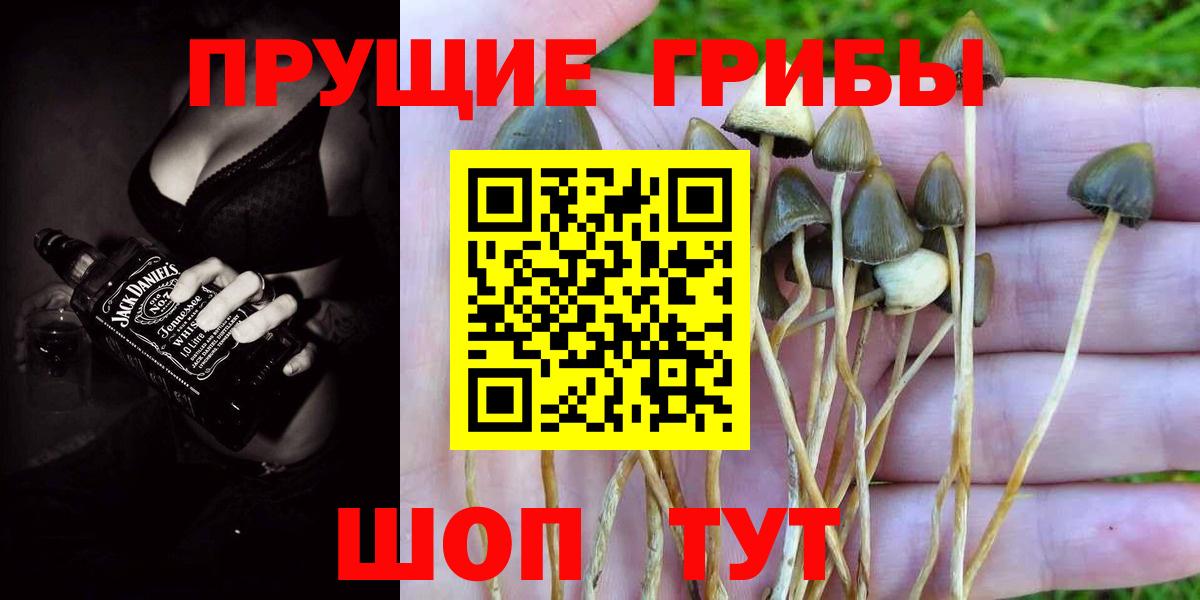 Псилоцибиновые грибы Magic Shrooms  Павловский Посад 