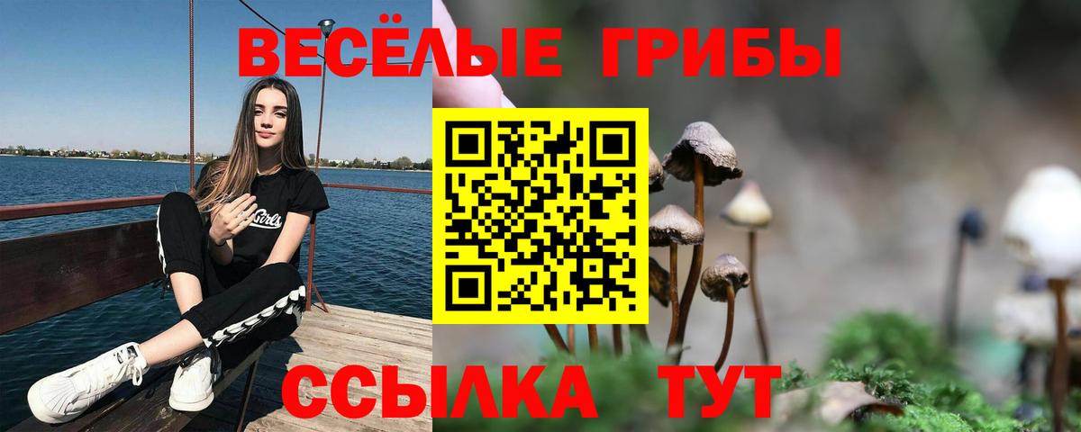 Галлюциногенные грибы мухоморы  Галлюциногенные грибы мухоморы  где найти наркотики  Павловский Посад 